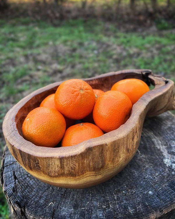 Hand-carved wooden bowl showing natural wood grain and irregular edge